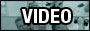 Nexus Video